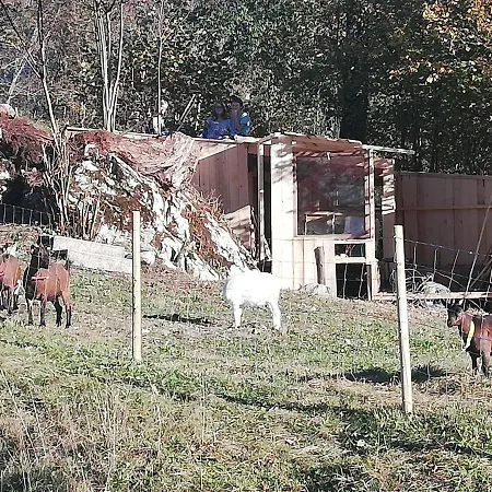 Haus Alpin * לופר