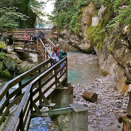 Apartment Haus Alpin Lofer